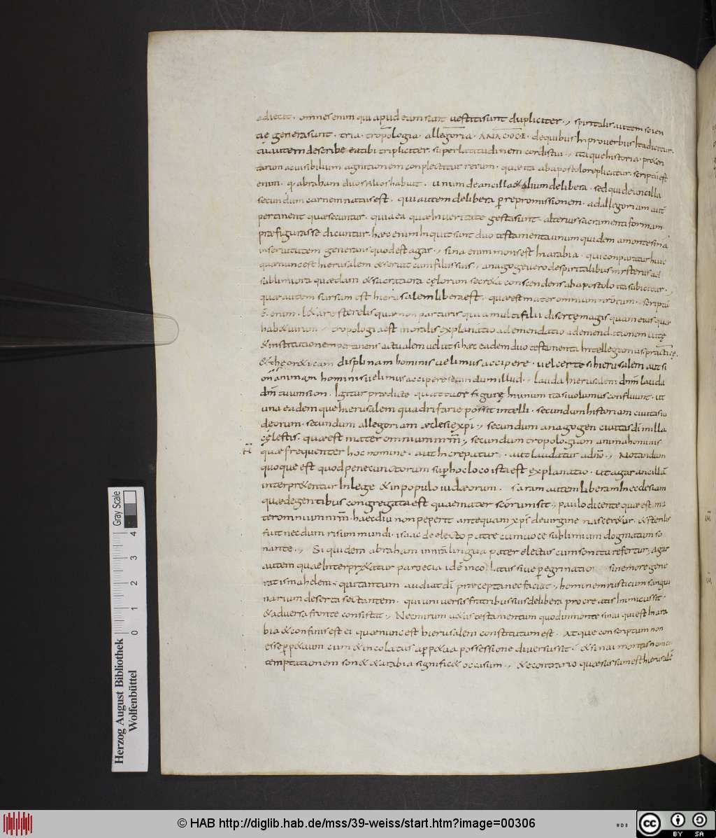 http://diglib.hab.de/mss/39-weiss/00306.jpg