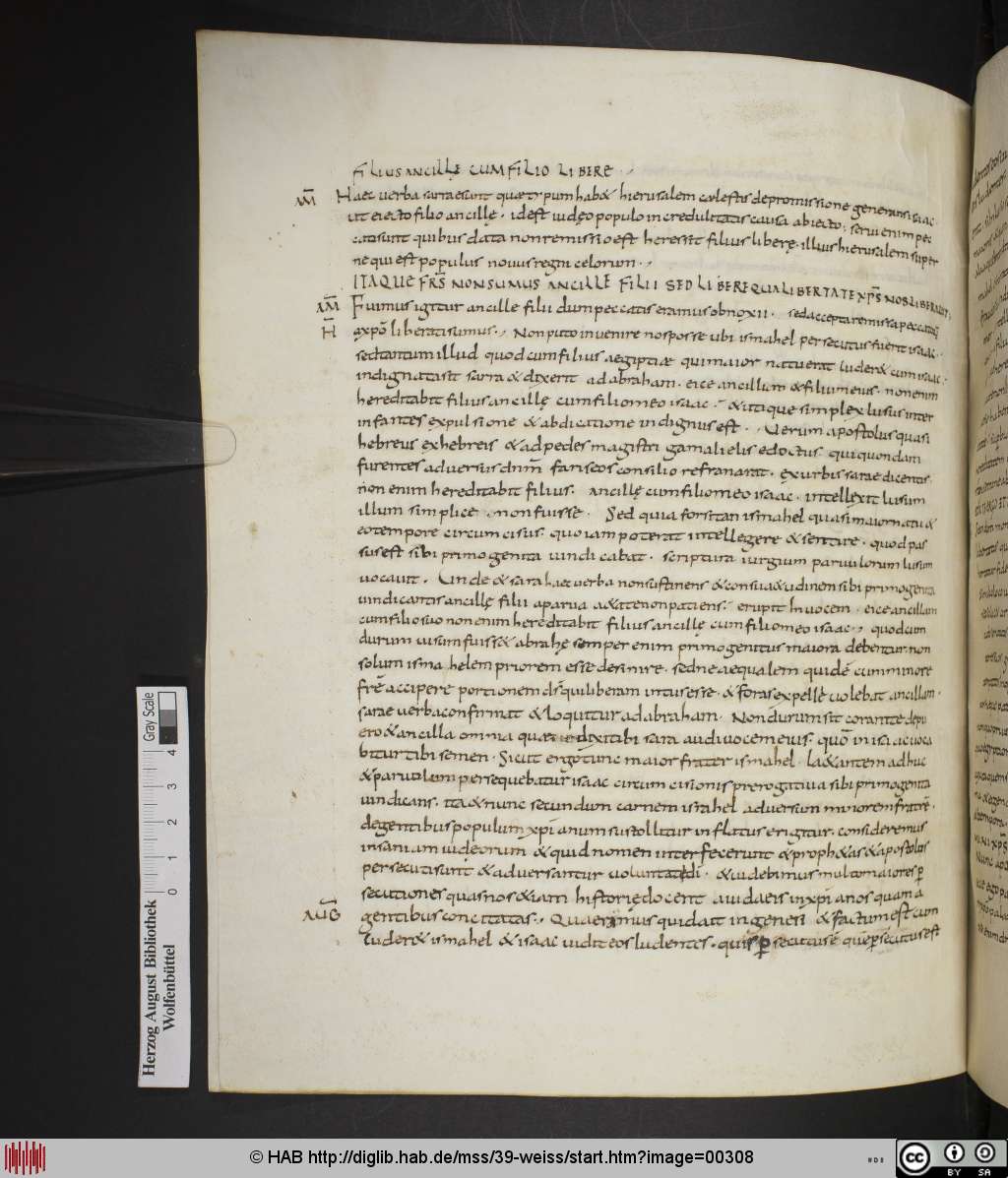 http://diglib.hab.de/mss/39-weiss/00308.jpg