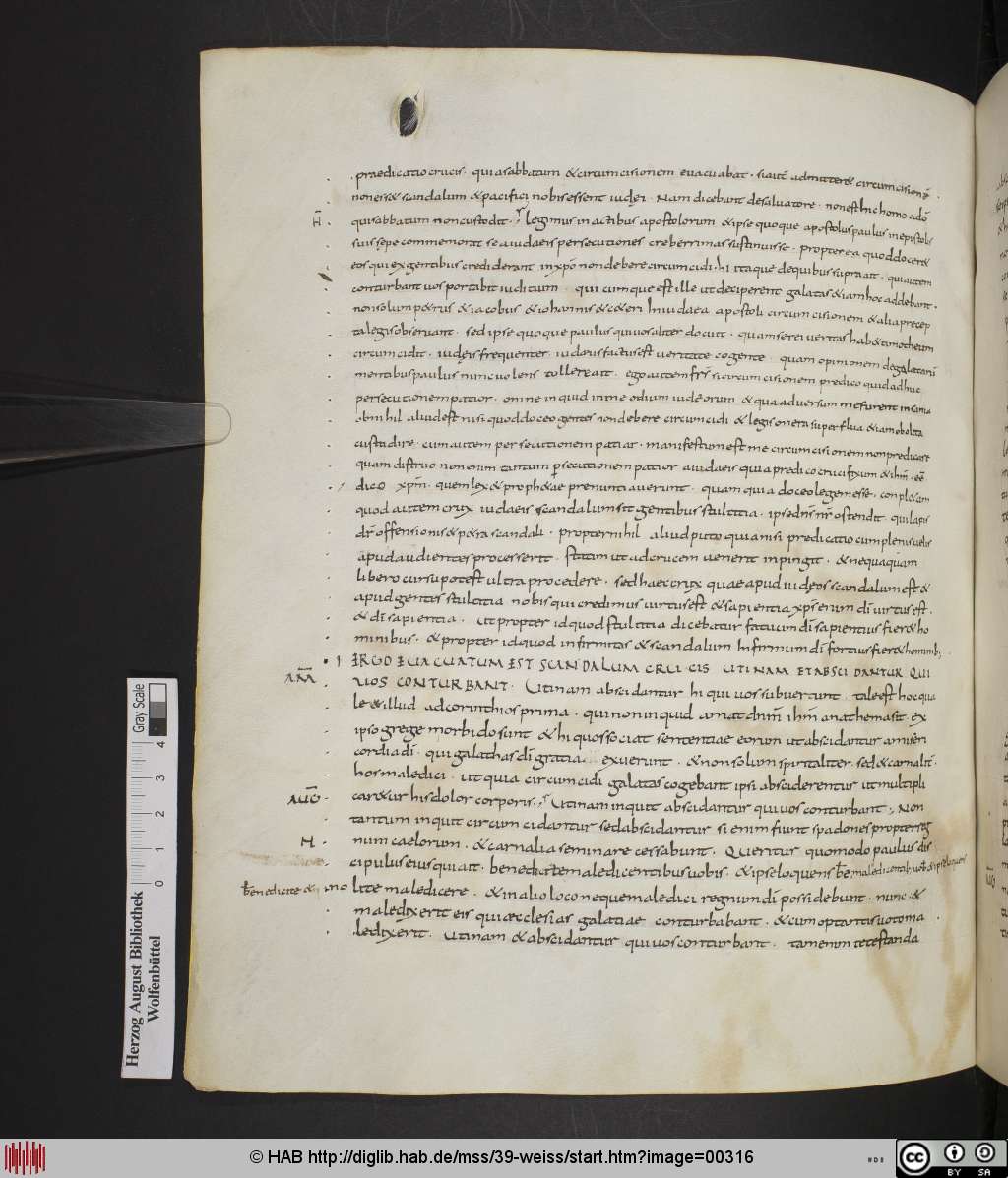 http://diglib.hab.de/mss/39-weiss/00316.jpg