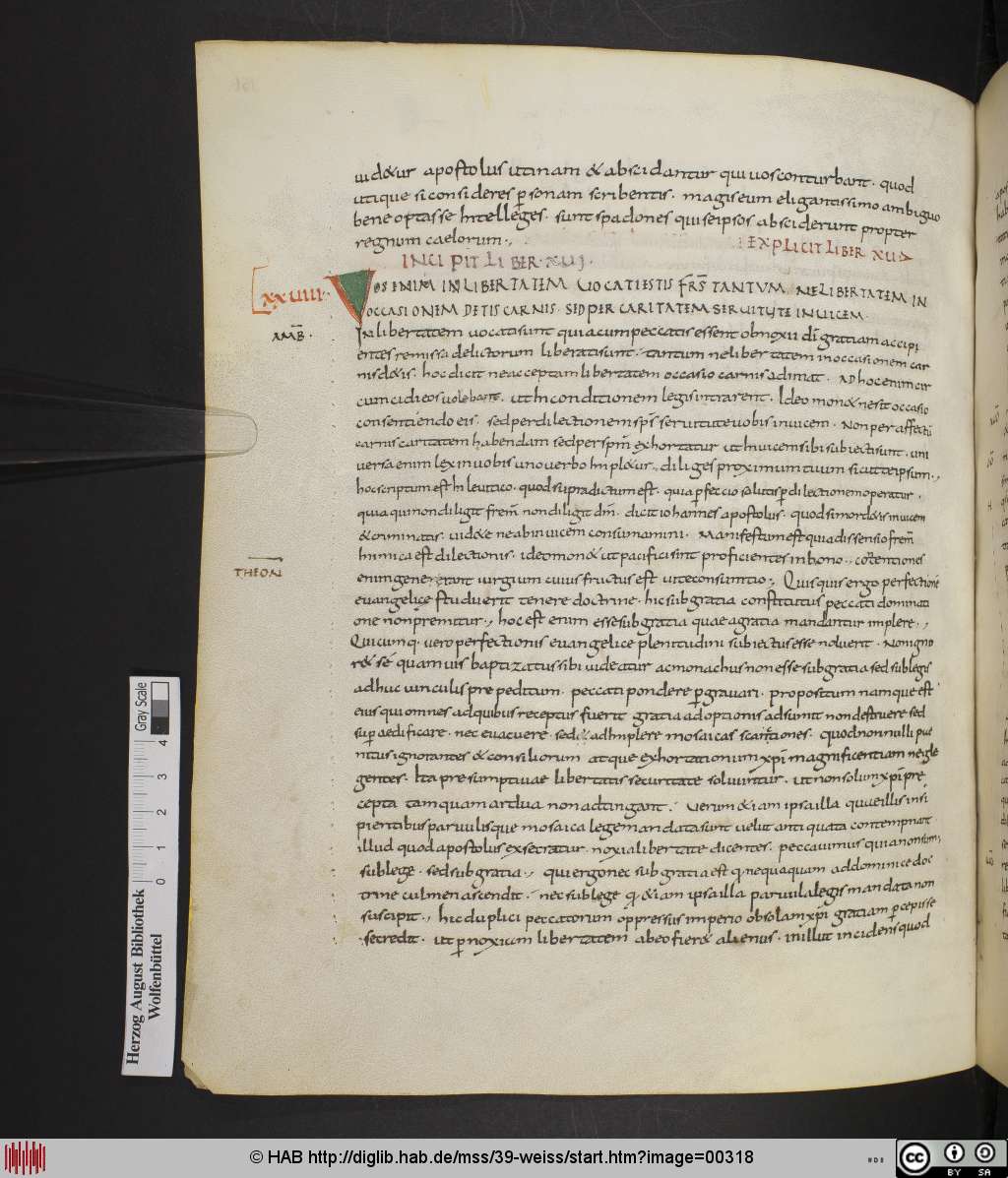 http://diglib.hab.de/mss/39-weiss/00318.jpg