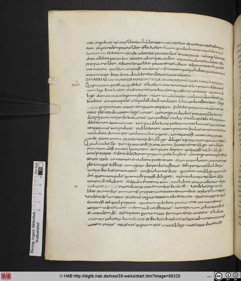 http://diglib.hab.de/mss/39-weiss/00320.jpg