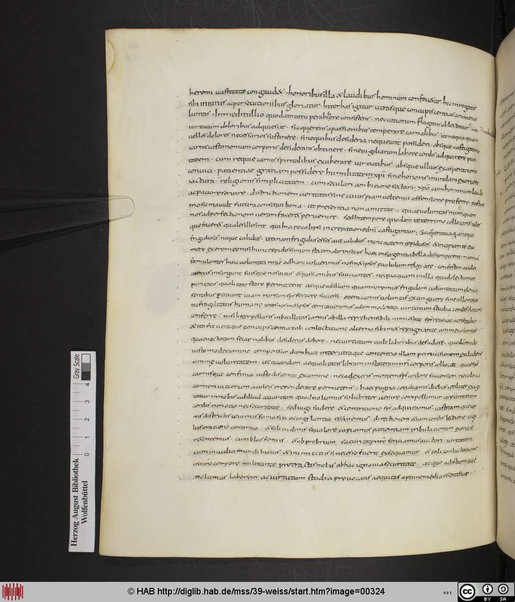 http://diglib.hab.de/mss/39-weiss/00324.jpg