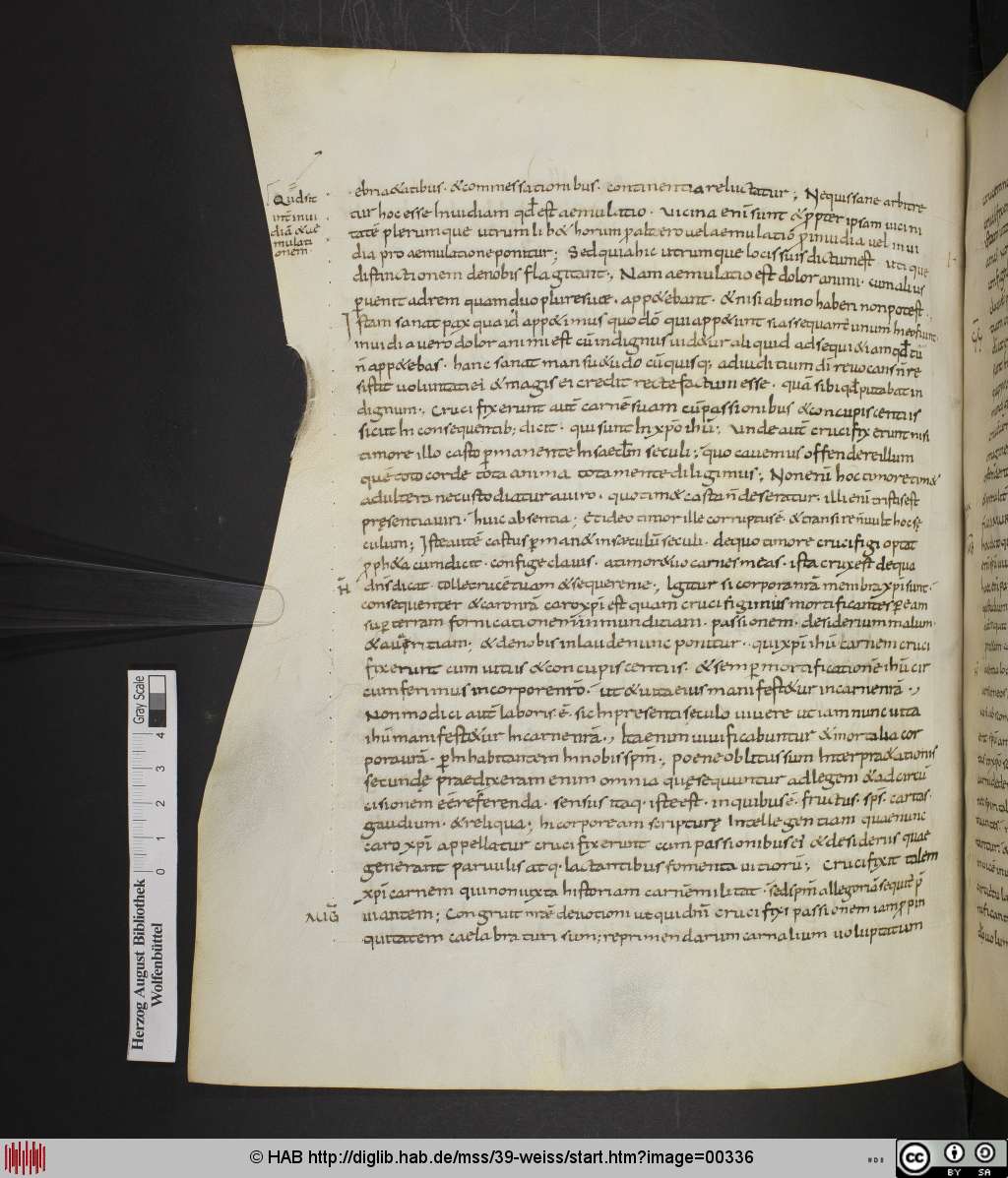 http://diglib.hab.de/mss/39-weiss/00336.jpg