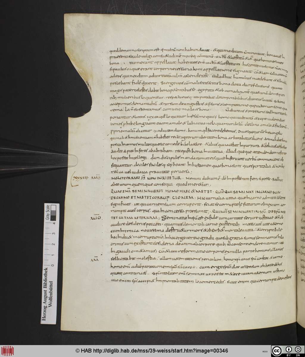 http://diglib.hab.de/mss/39-weiss/00346.jpg