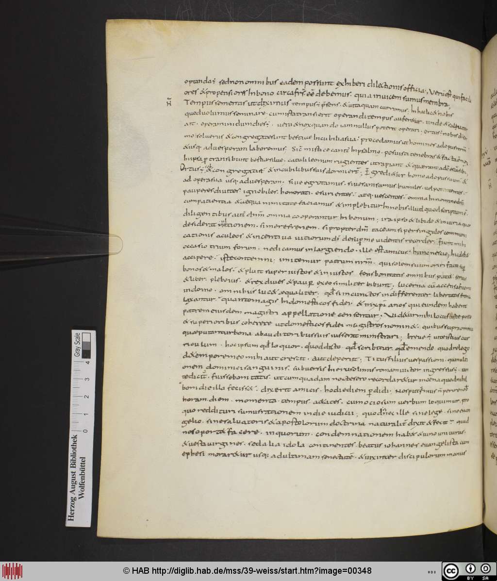 http://diglib.hab.de/mss/39-weiss/00348.jpg