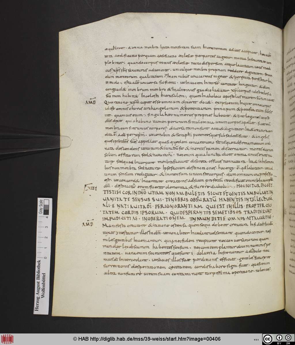 http://diglib.hab.de/mss/39-weiss/00406.jpg