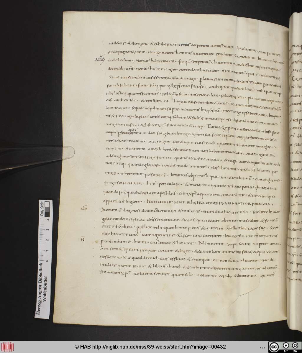 http://diglib.hab.de/mss/39-weiss/00432.jpg