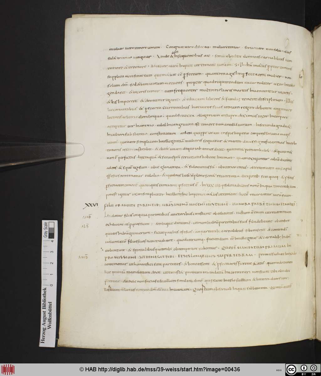 http://diglib.hab.de/mss/39-weiss/00436.jpg
