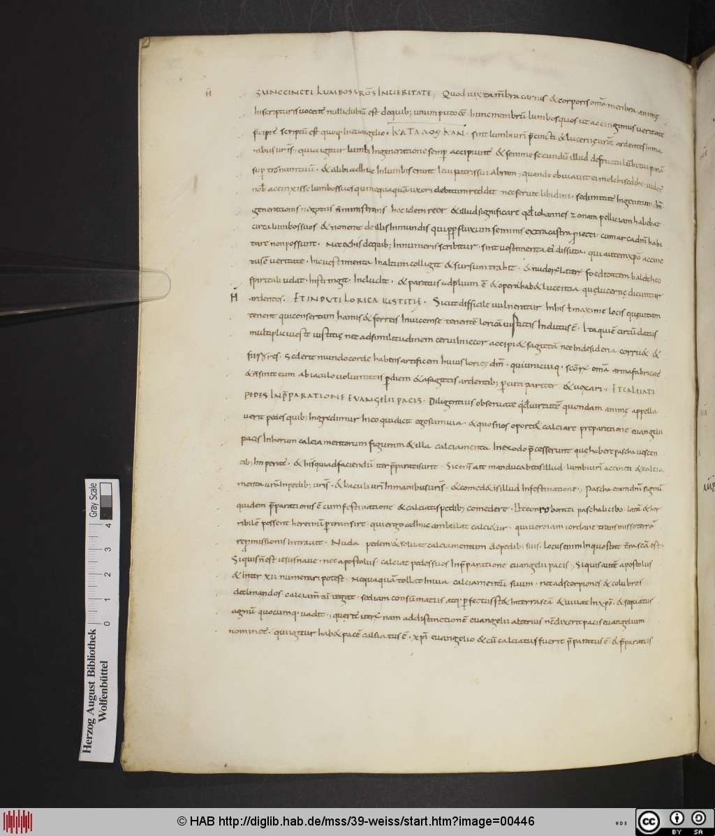 http://diglib.hab.de/mss/39-weiss/00446.jpg