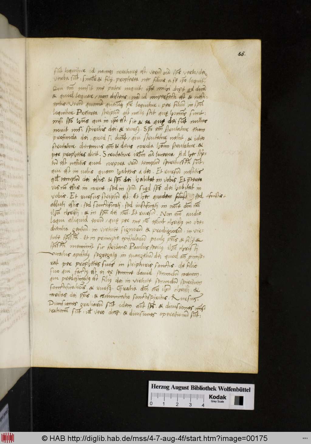http://diglib.hab.de/mss/4-7-aug-4f/00175.jpg