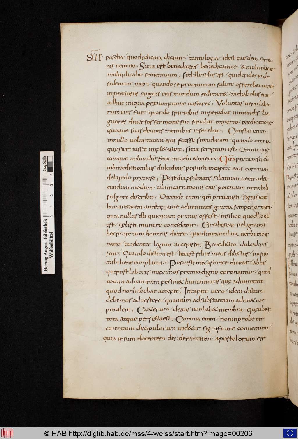 http://diglib.hab.de/mss/4-weiss/00206.jpg