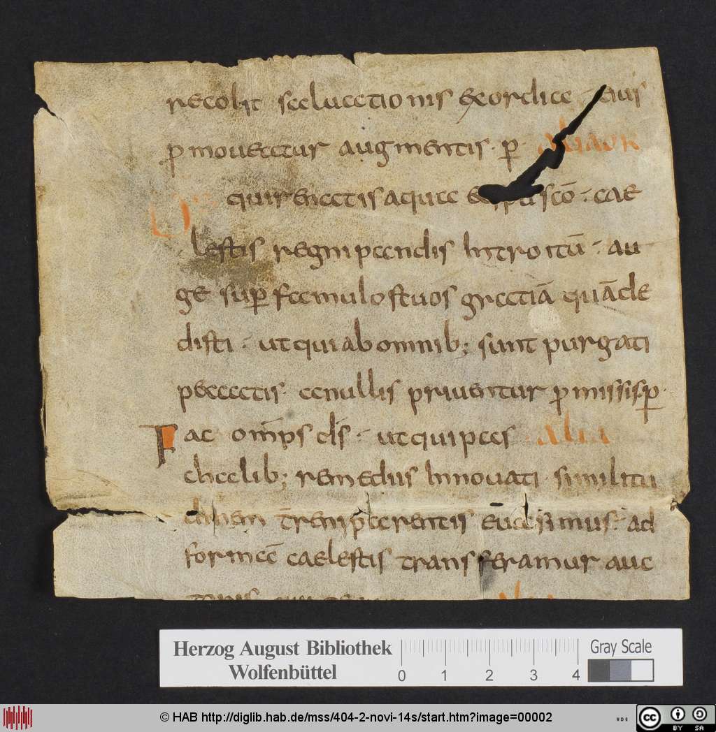 http://diglib.hab.de/mss/404-2-novi-14s/00002.jpg