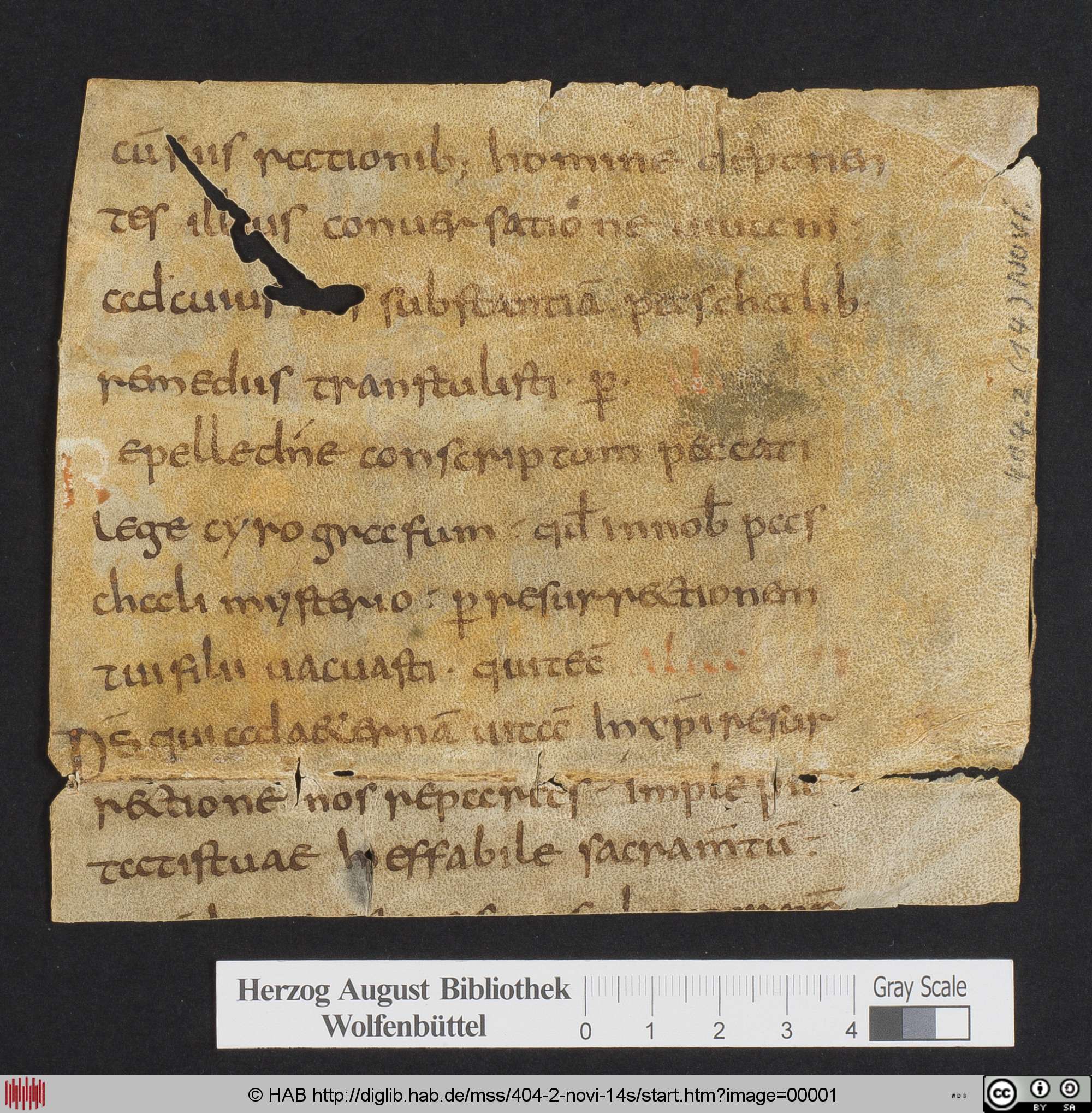 http://diglib.hab.de/mss/404-2-novi-14s/max/00001.jpg