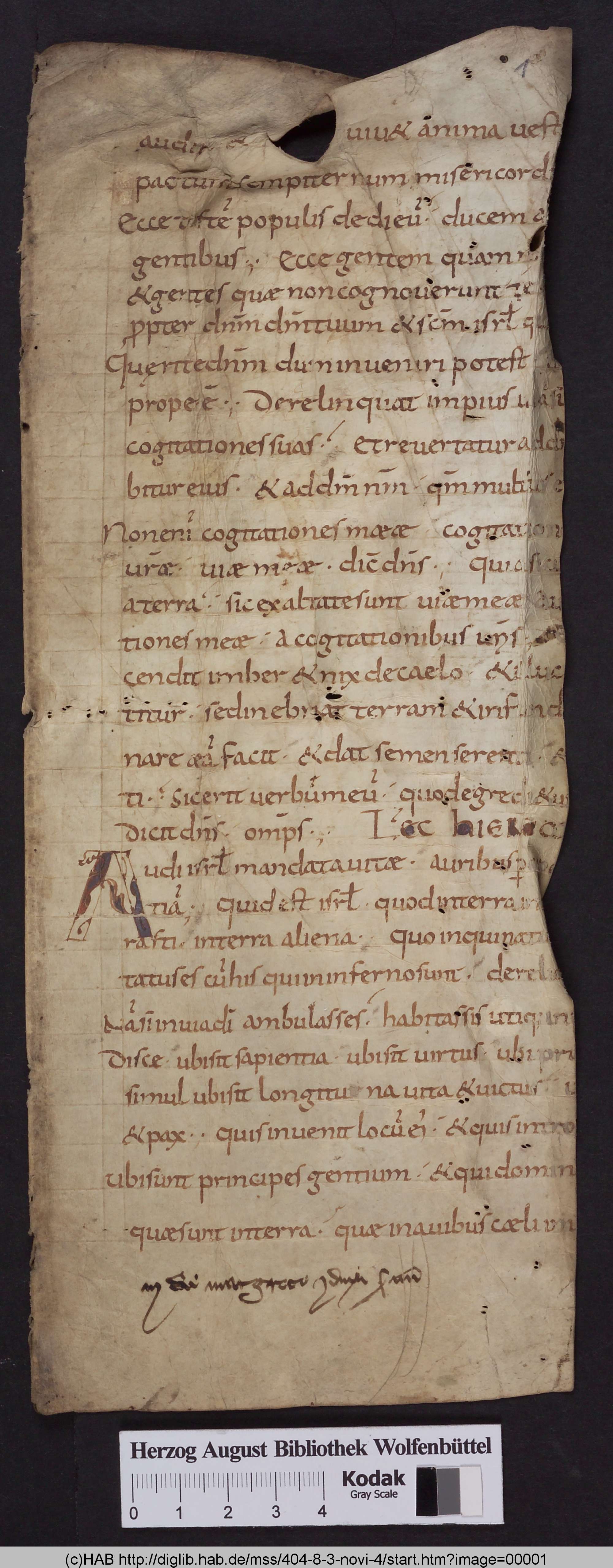 http://diglib.hab.de/mss/404-8-3-novi-4/max/00001.jpg