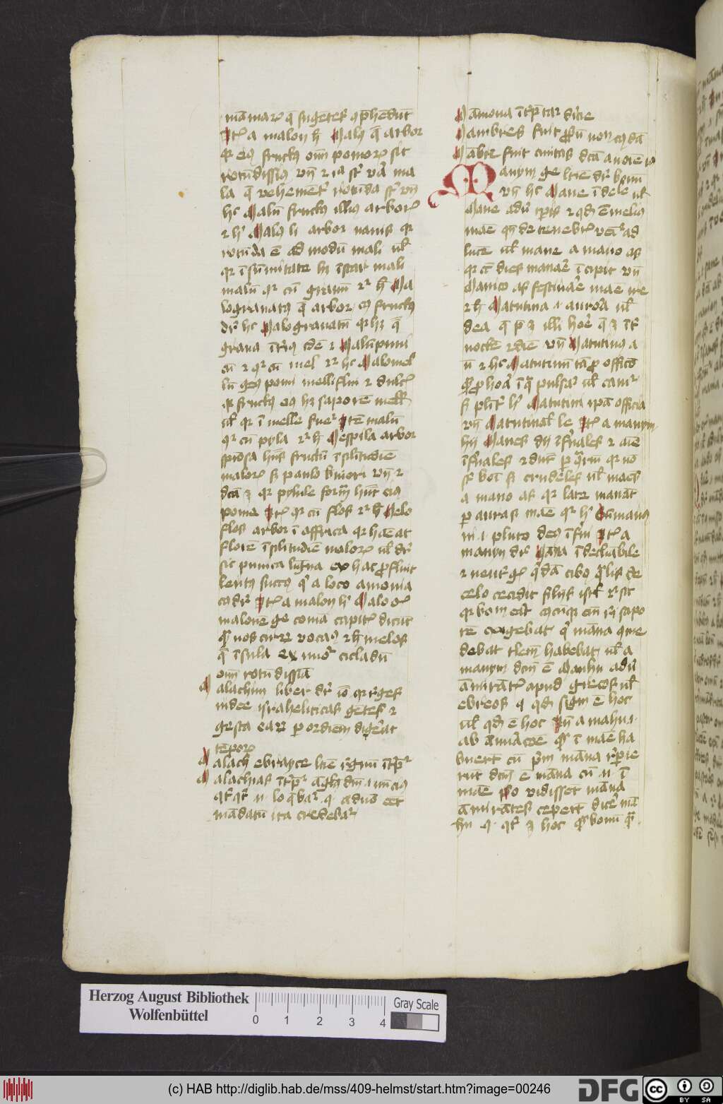 http://diglib.hab.de/mss/409-helmst/00246.jpg