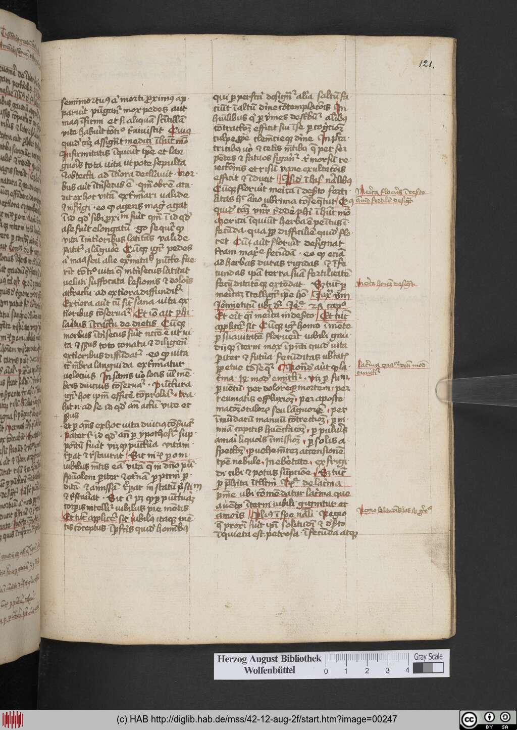 http://diglib.hab.de/mss/42-12-aug-2f/00247.jpg