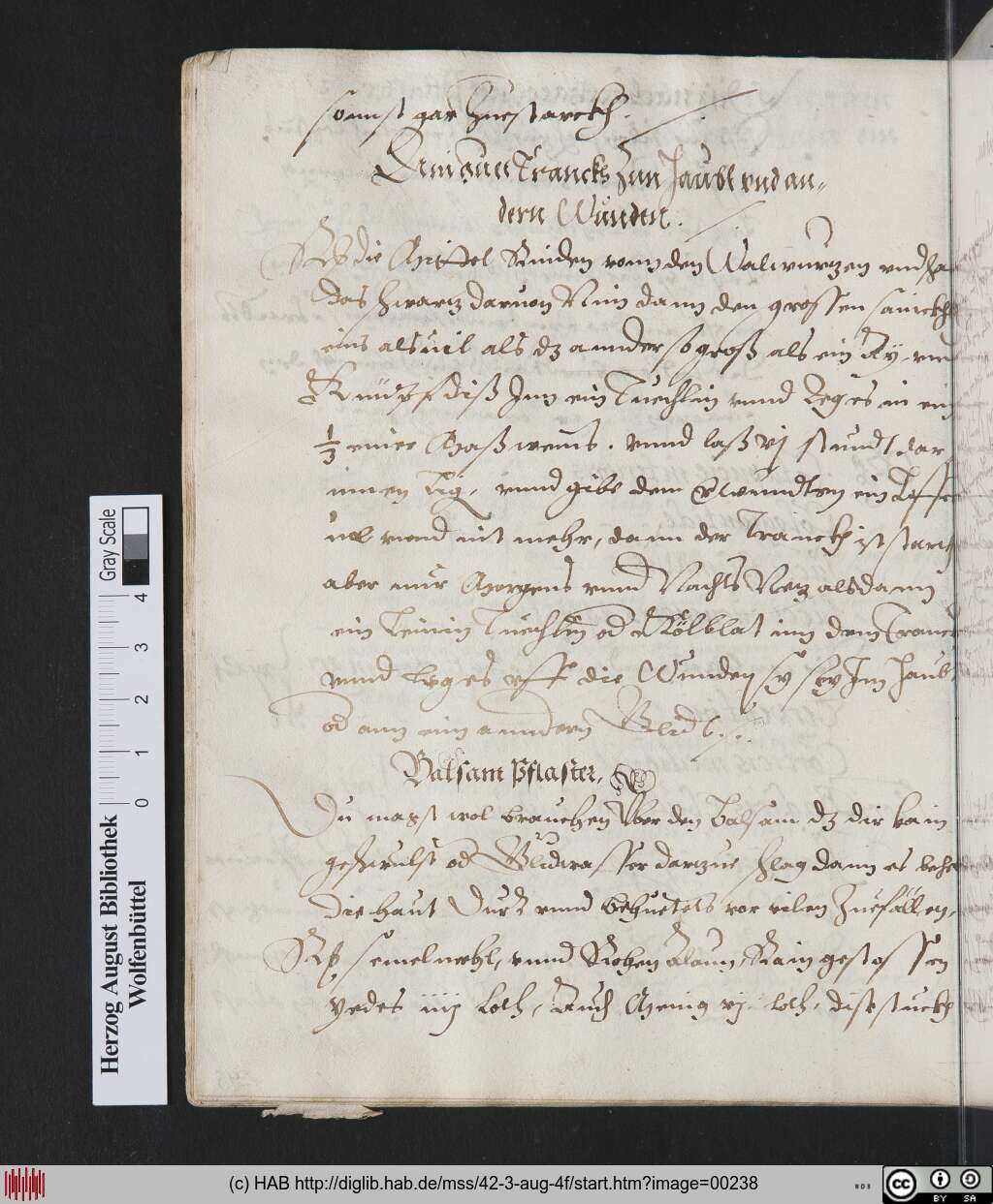 http://diglib.hab.de/mss/42-3-aug-4f/00238.jpg