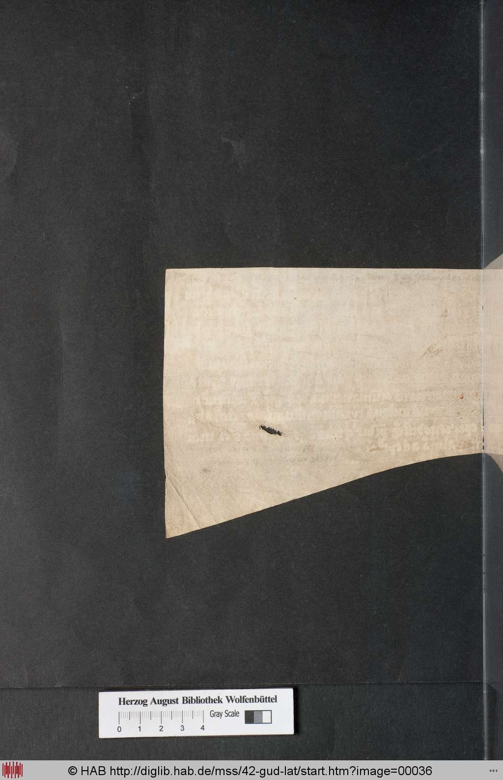 http://diglib.hab.de/mss/42-gud-lat/00036.jpg