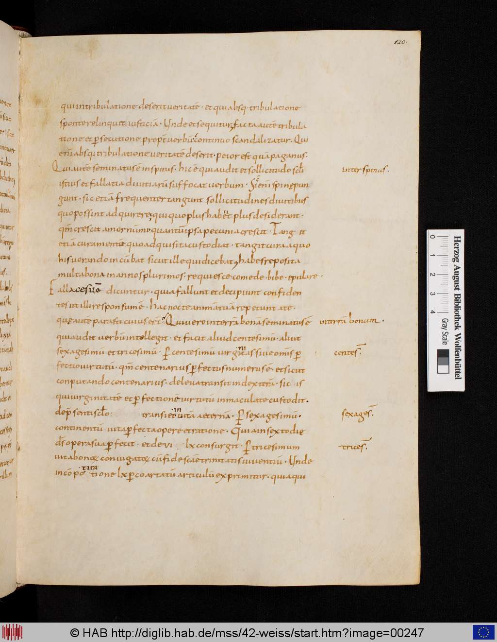 http://diglib.hab.de/mss/42-weiss/00247.jpg