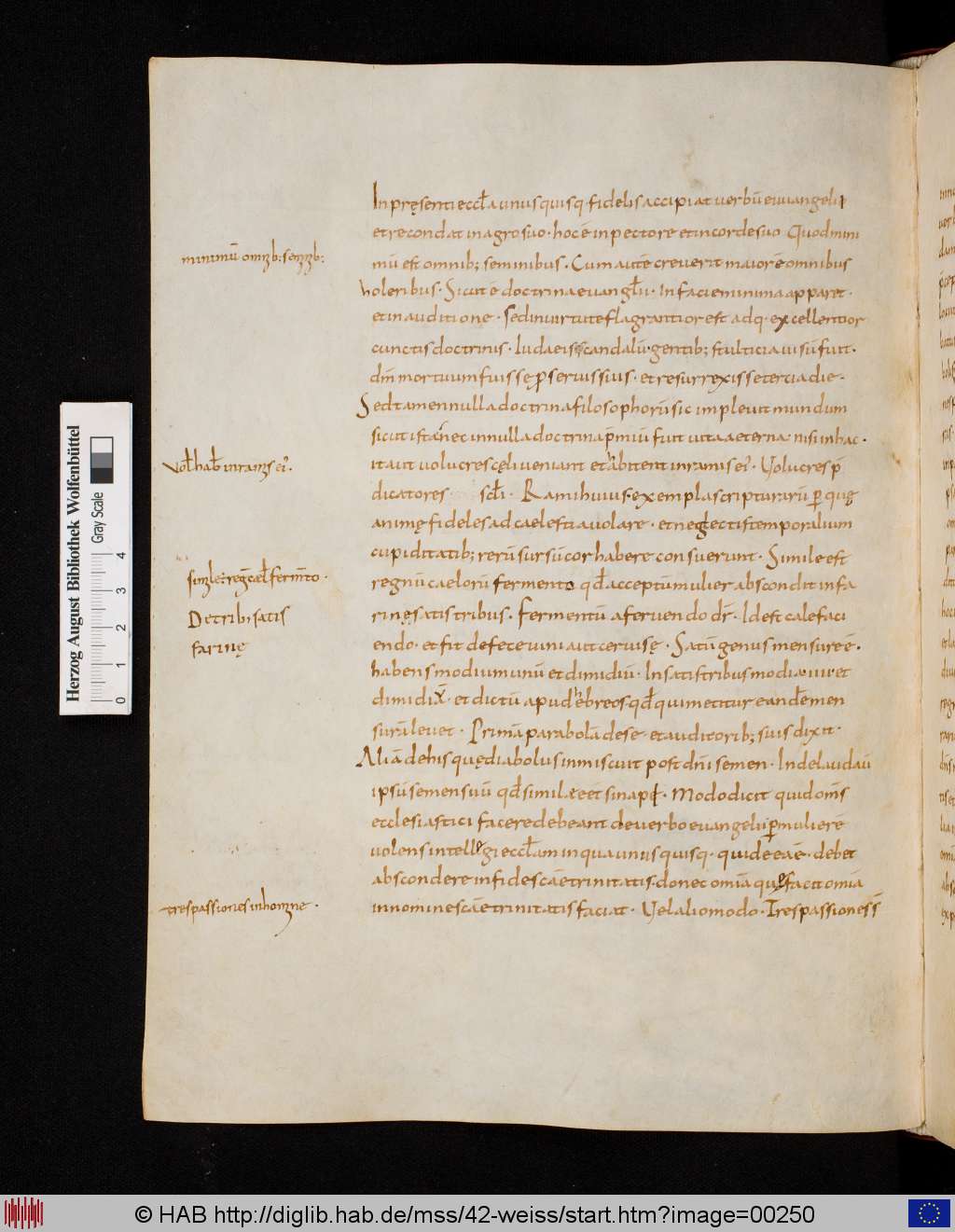 http://diglib.hab.de/mss/42-weiss/00250.jpg