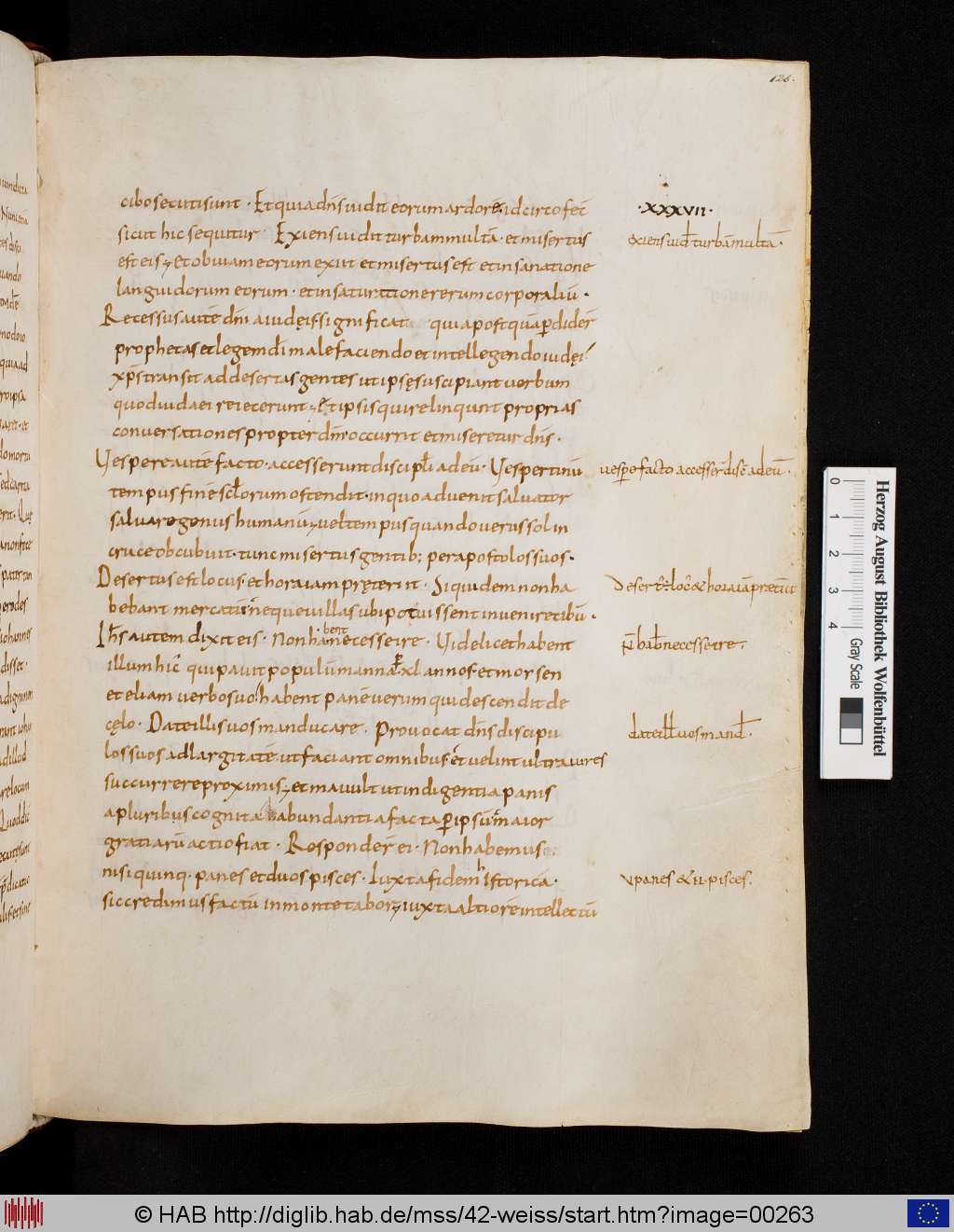 http://diglib.hab.de/mss/42-weiss/00263.jpg