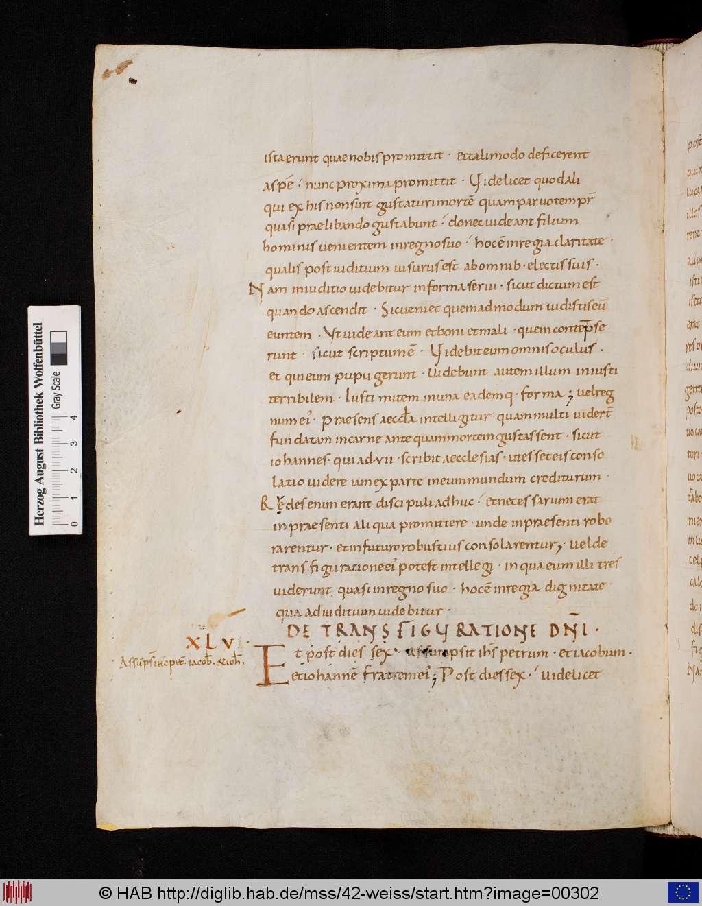 http://diglib.hab.de/mss/42-weiss/00302.jpg