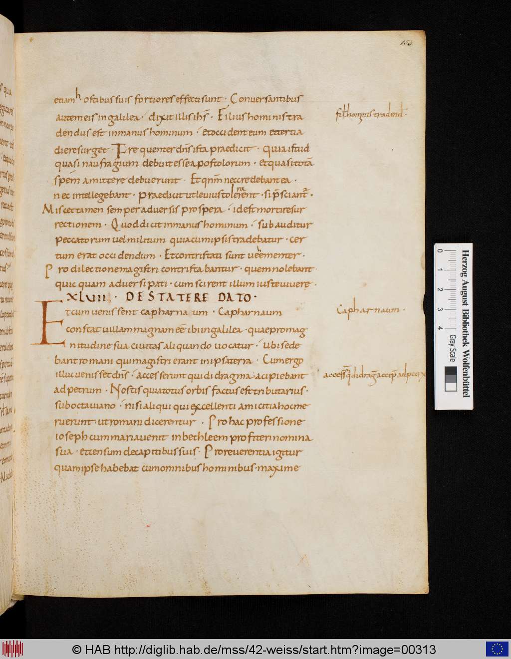 http://diglib.hab.de/mss/42-weiss/00313.jpg