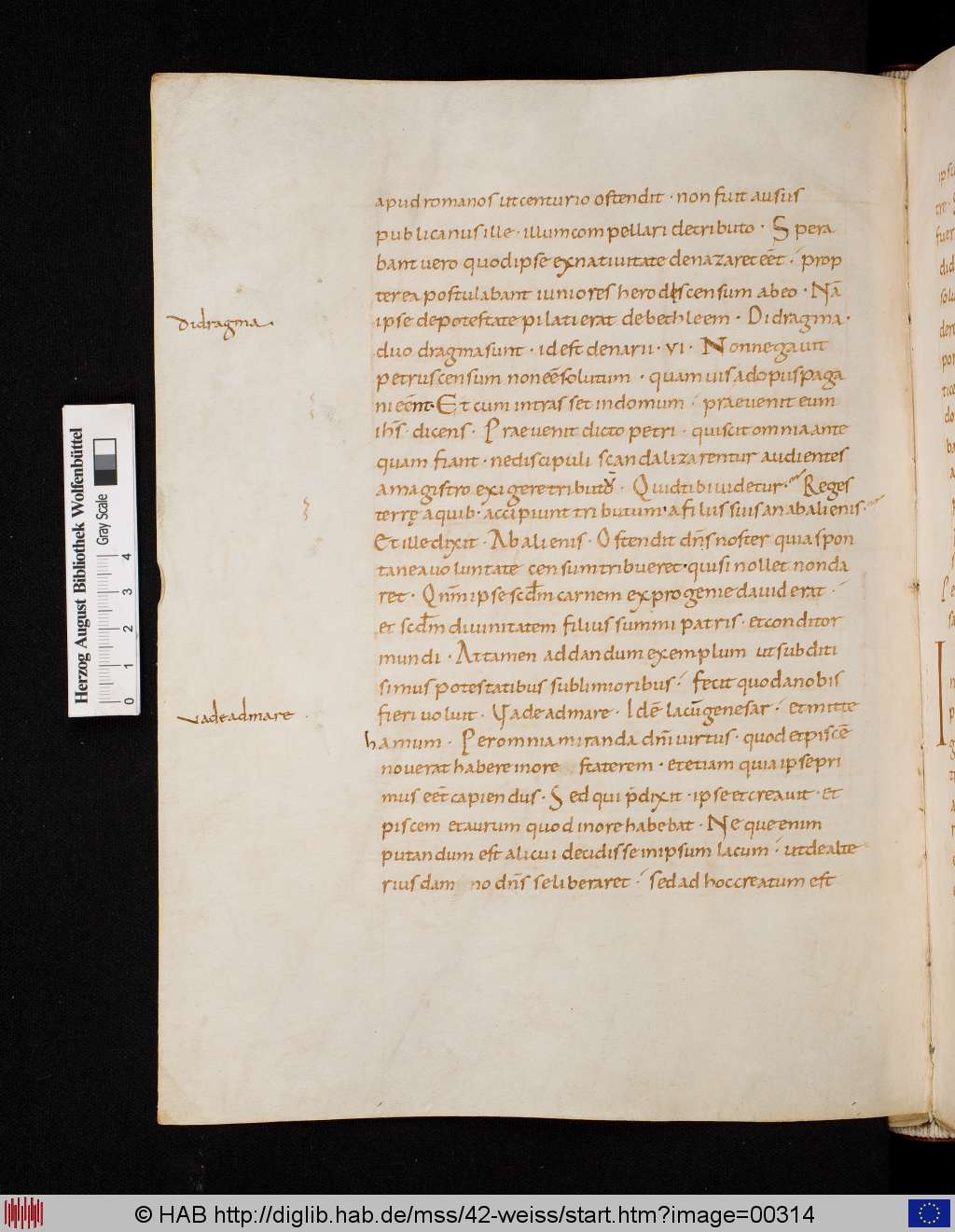 http://diglib.hab.de/mss/42-weiss/00314.jpg