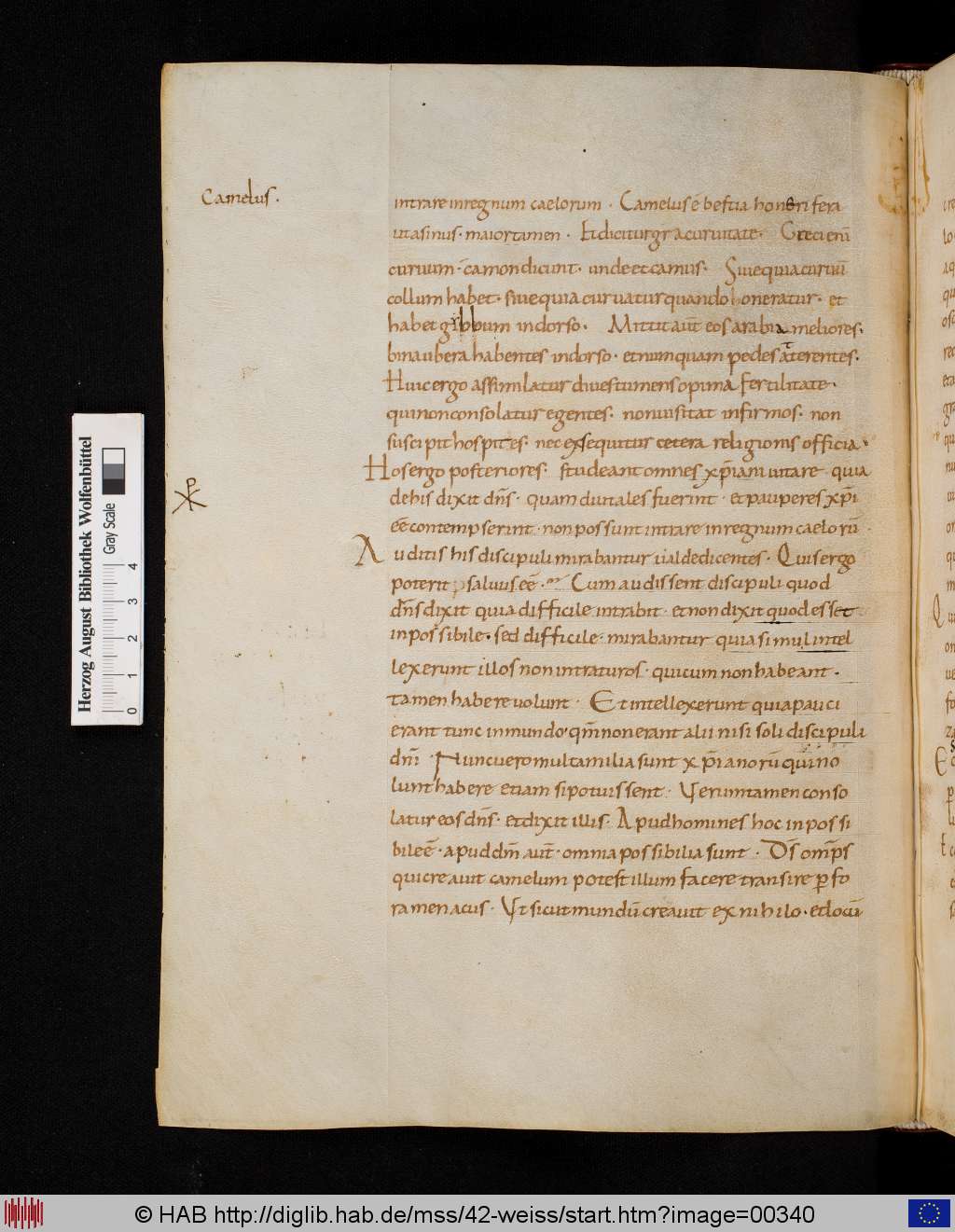 http://diglib.hab.de/mss/42-weiss/00340.jpg