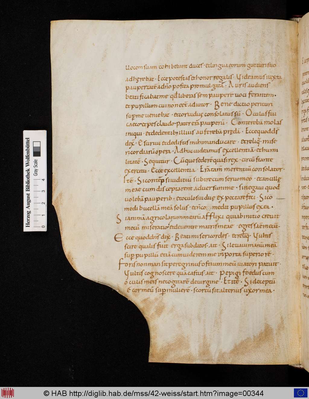 http://diglib.hab.de/mss/42-weiss/00344.jpg