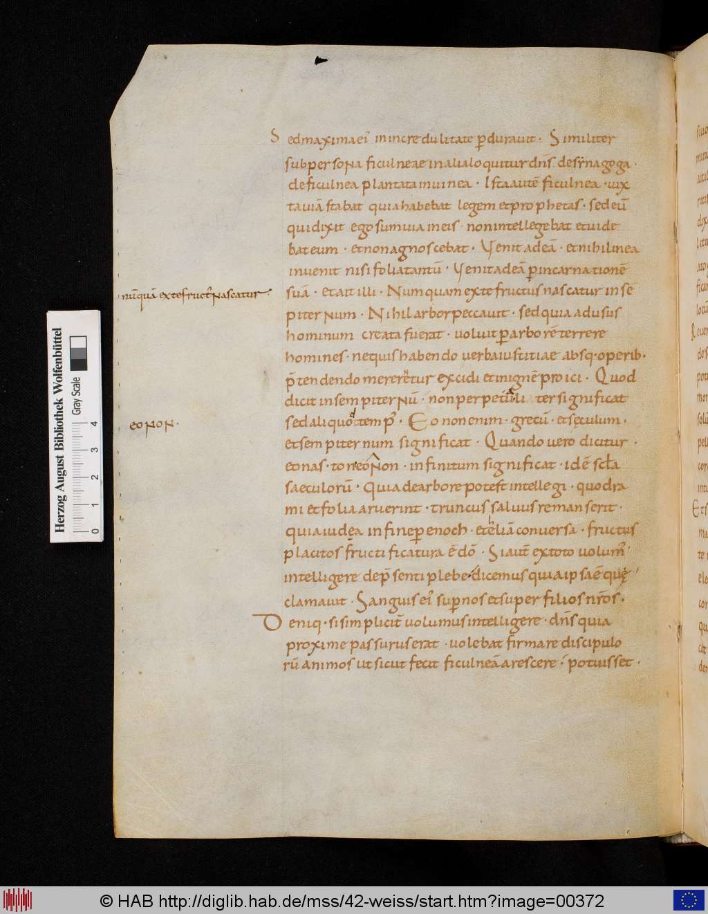 http://diglib.hab.de/mss/42-weiss/00372.jpg
