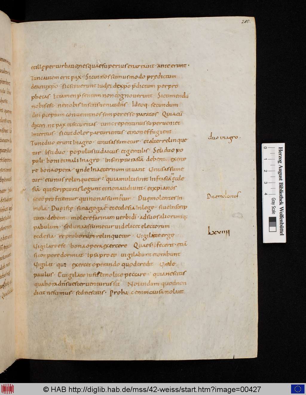 http://diglib.hab.de/mss/42-weiss/00427.jpg