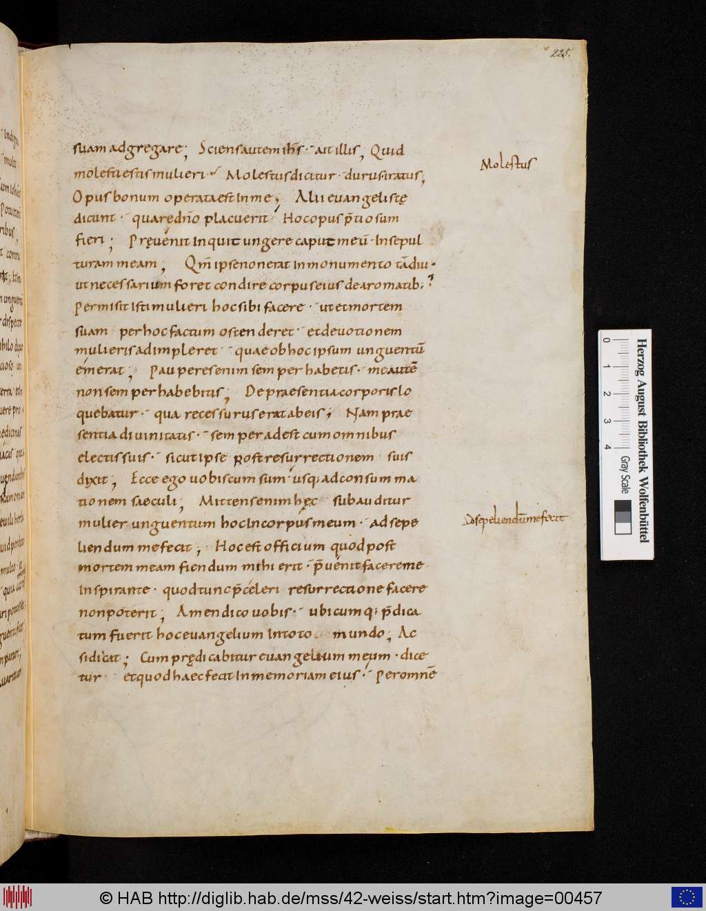 http://diglib.hab.de/mss/42-weiss/00457.jpg