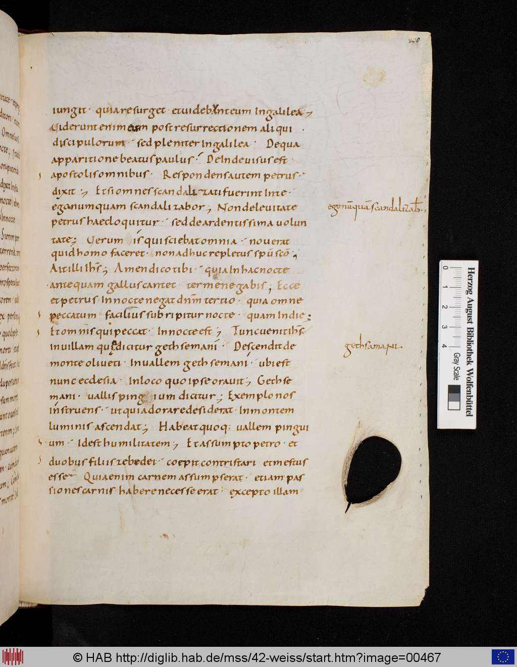 http://diglib.hab.de/mss/42-weiss/00467.jpg