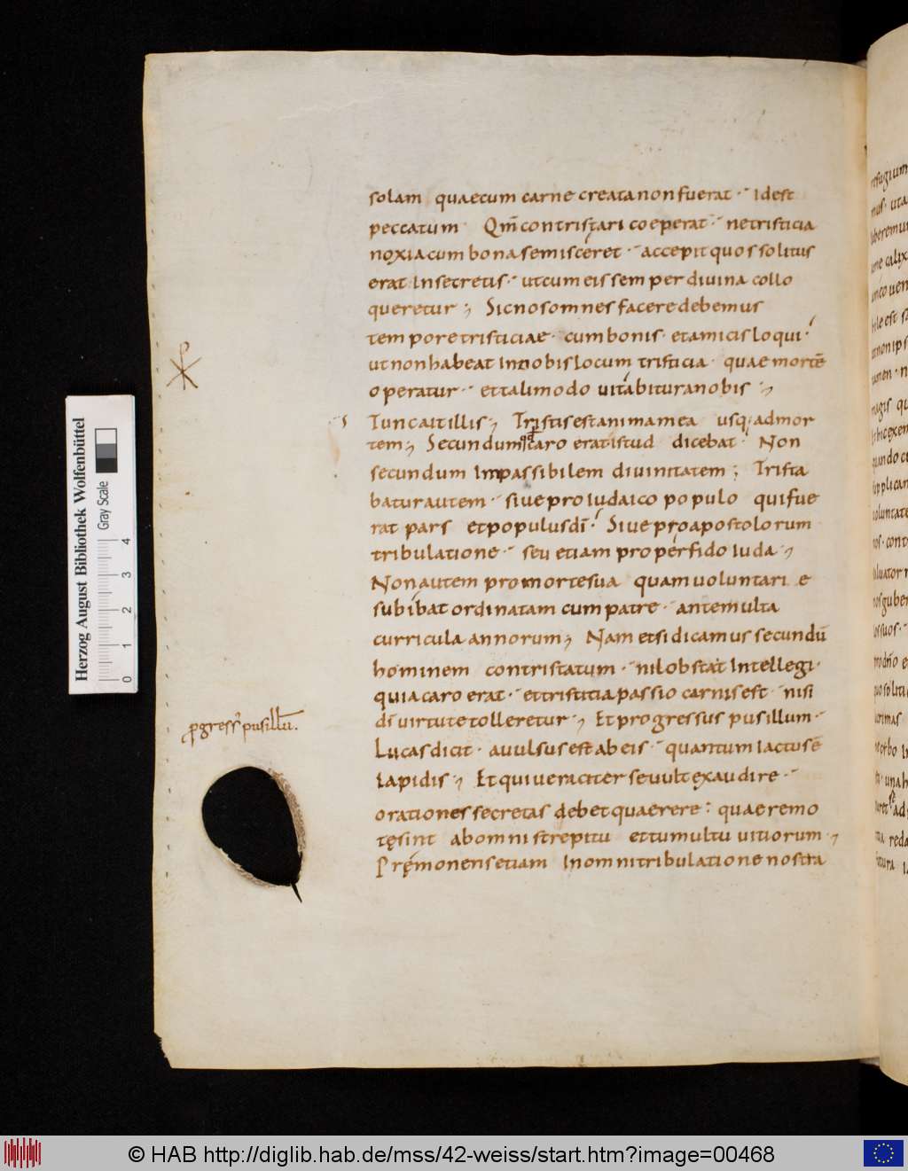 http://diglib.hab.de/mss/42-weiss/00468.jpg