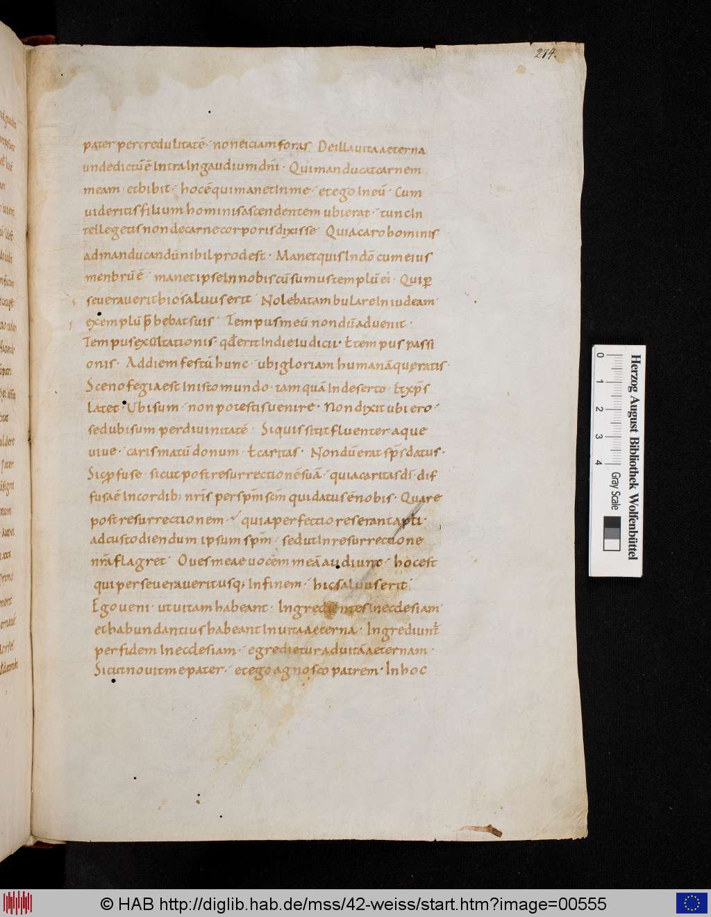 http://diglib.hab.de/mss/42-weiss/00555.jpg