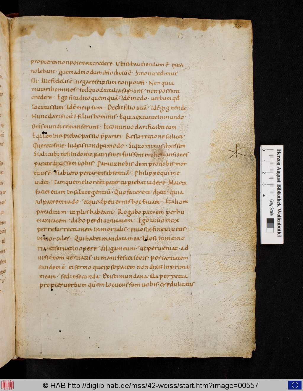 http://diglib.hab.de/mss/42-weiss/00557.jpg