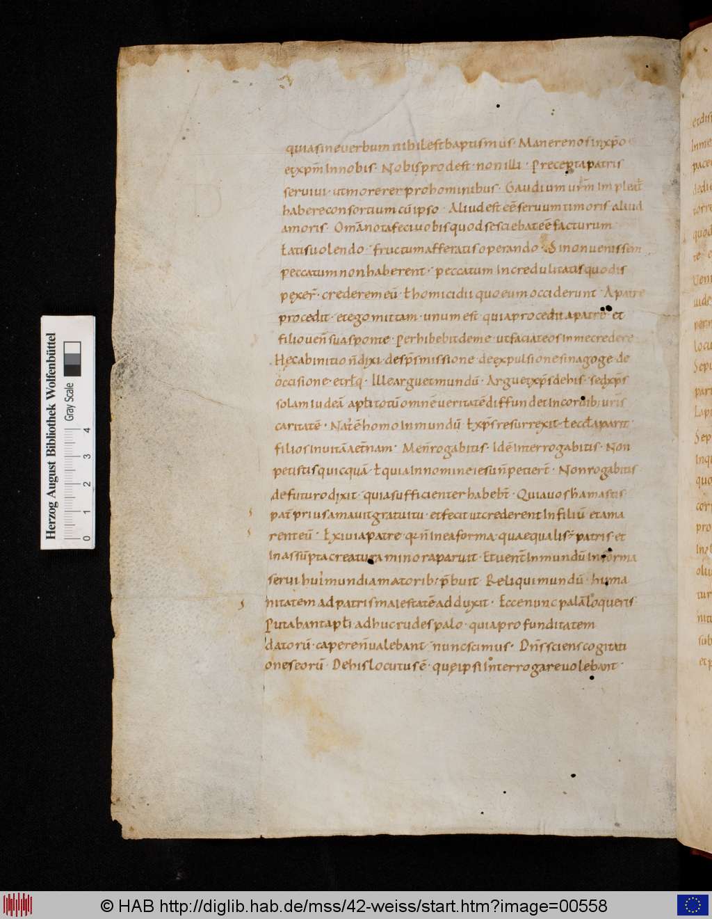 http://diglib.hab.de/mss/42-weiss/00558.jpg