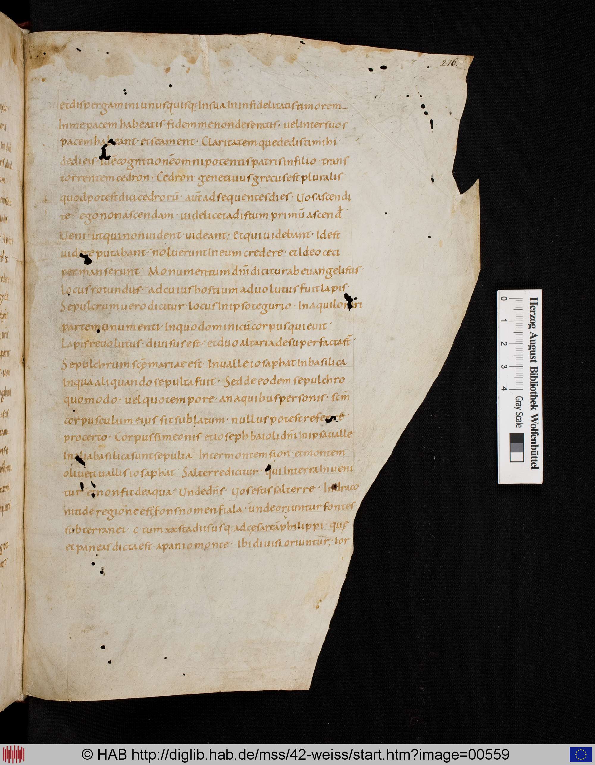 http://diglib.hab.de/mss/42-weiss/max/00559.jpg