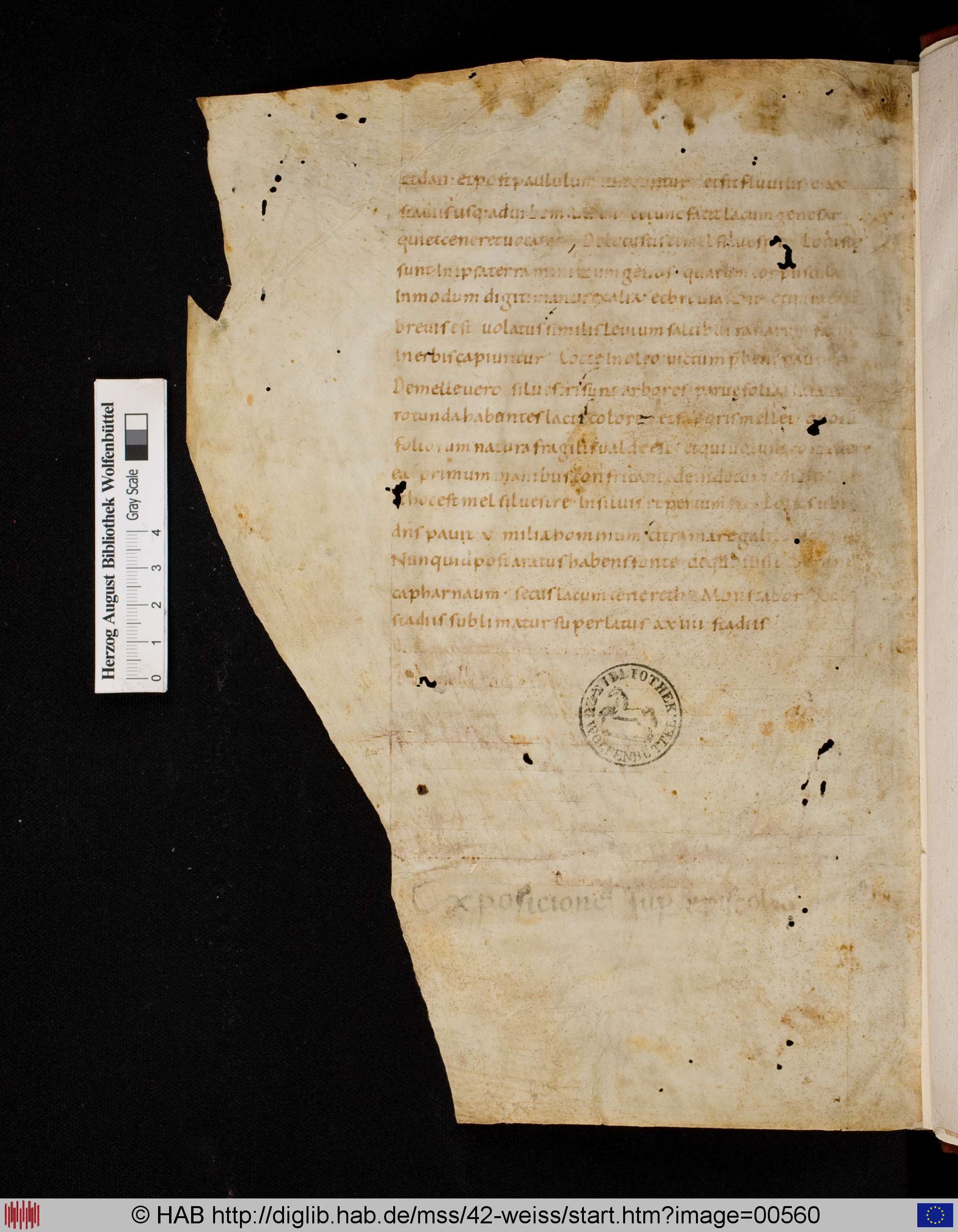 http://diglib.hab.de/mss/42-weiss/max/00560.jpg