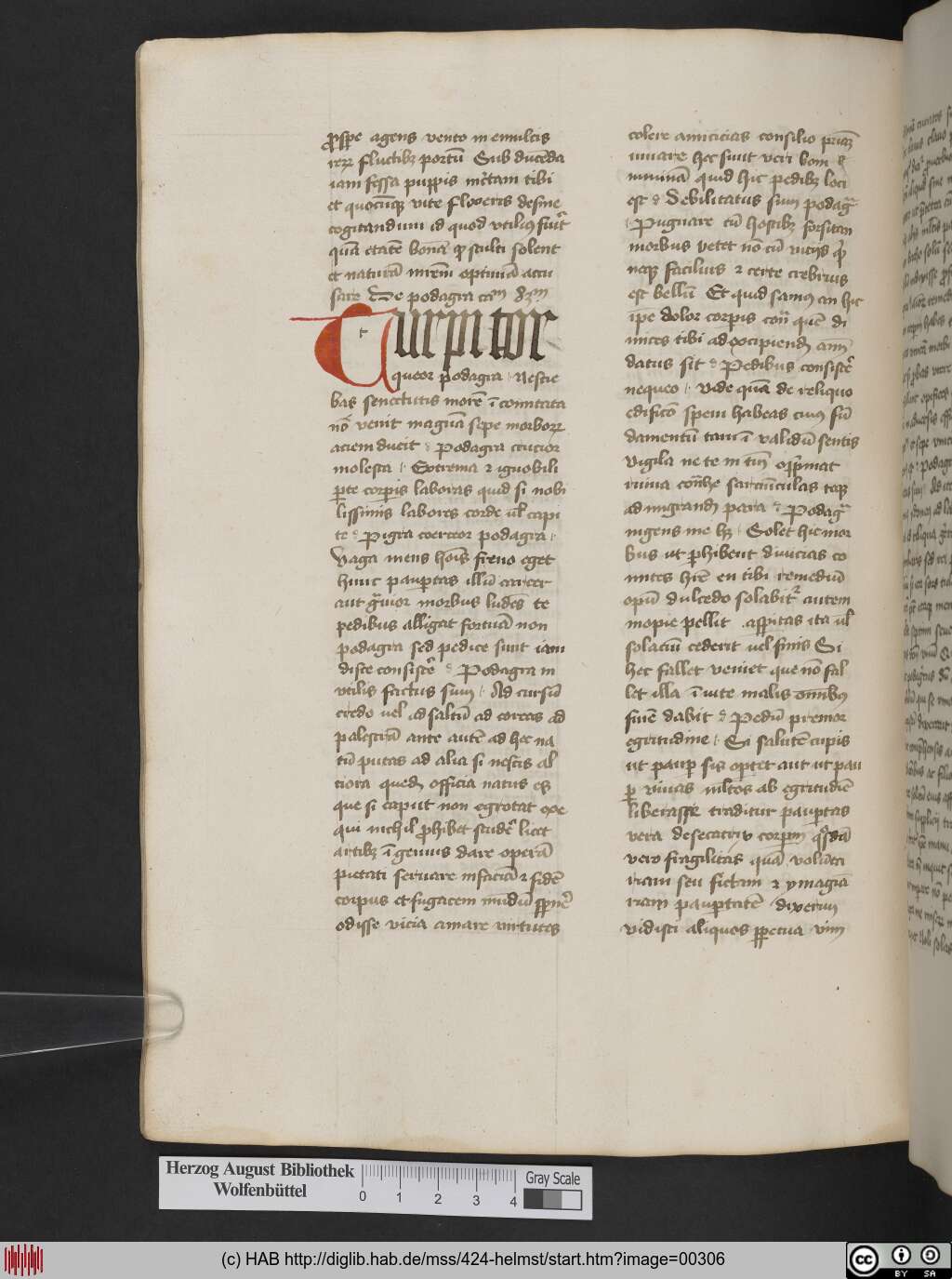 http://diglib.hab.de/mss/424-helmst/00306.jpg