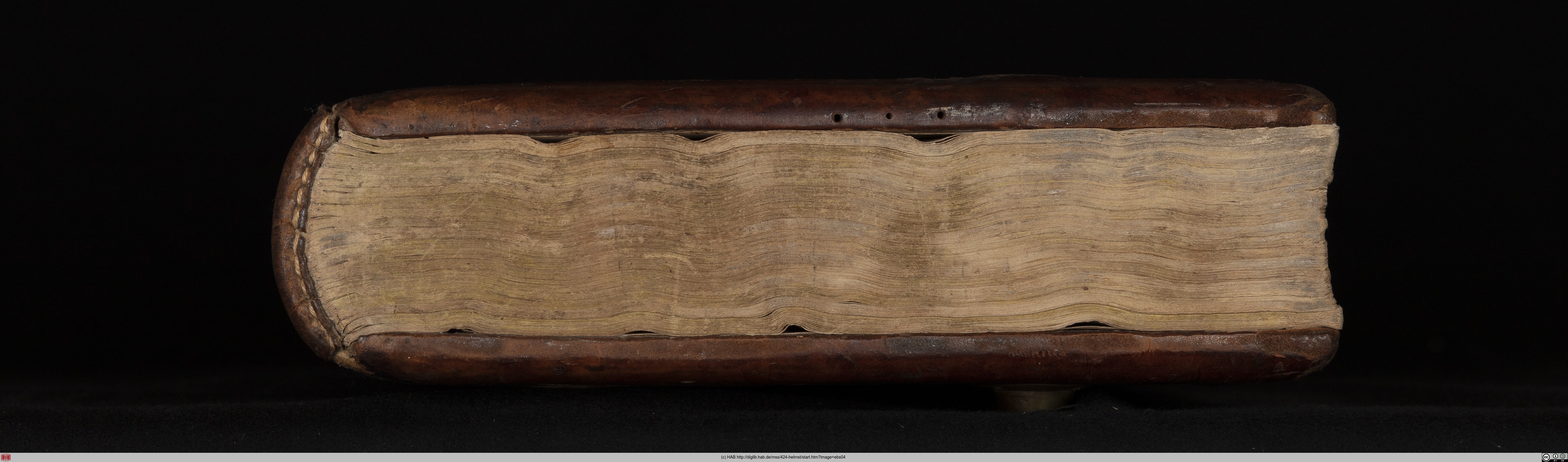 http://diglib.hab.de/mss/424-helmst/max/ebs04.jpg