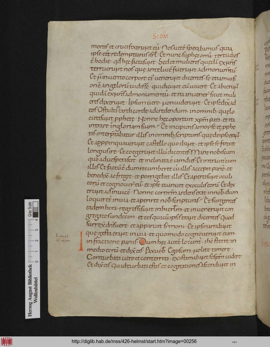 http://diglib.hab.de/mss/426-helmst/00256.jpg