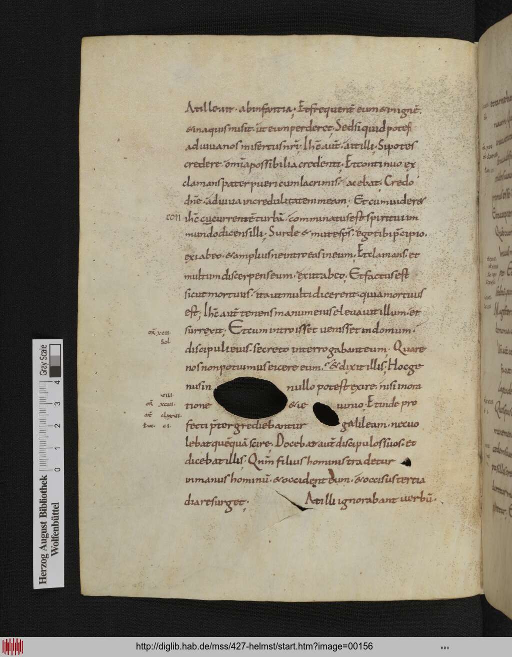 http://diglib.hab.de/mss/427-helmst/00156.jpg