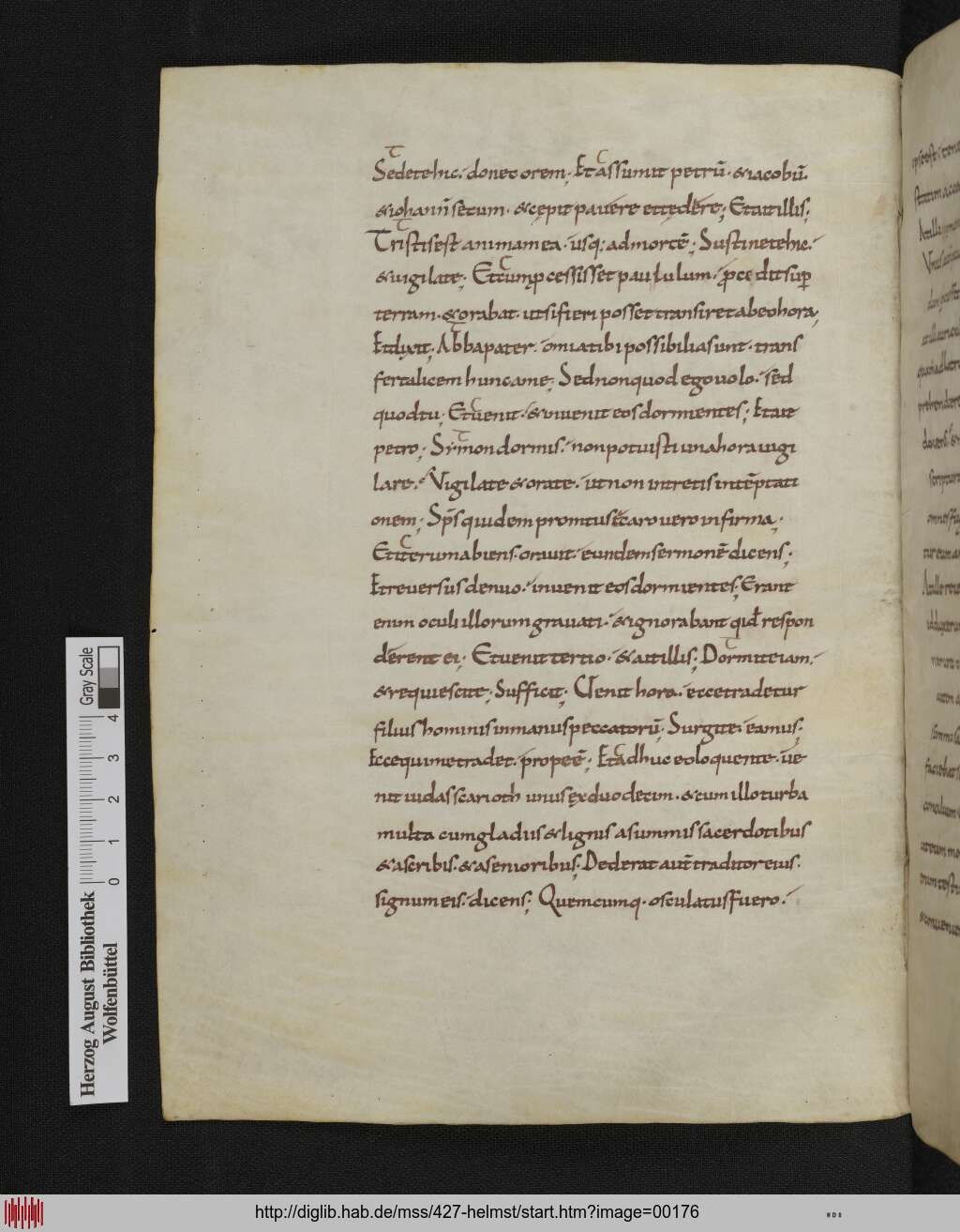 http://diglib.hab.de/mss/427-helmst/00176.jpg