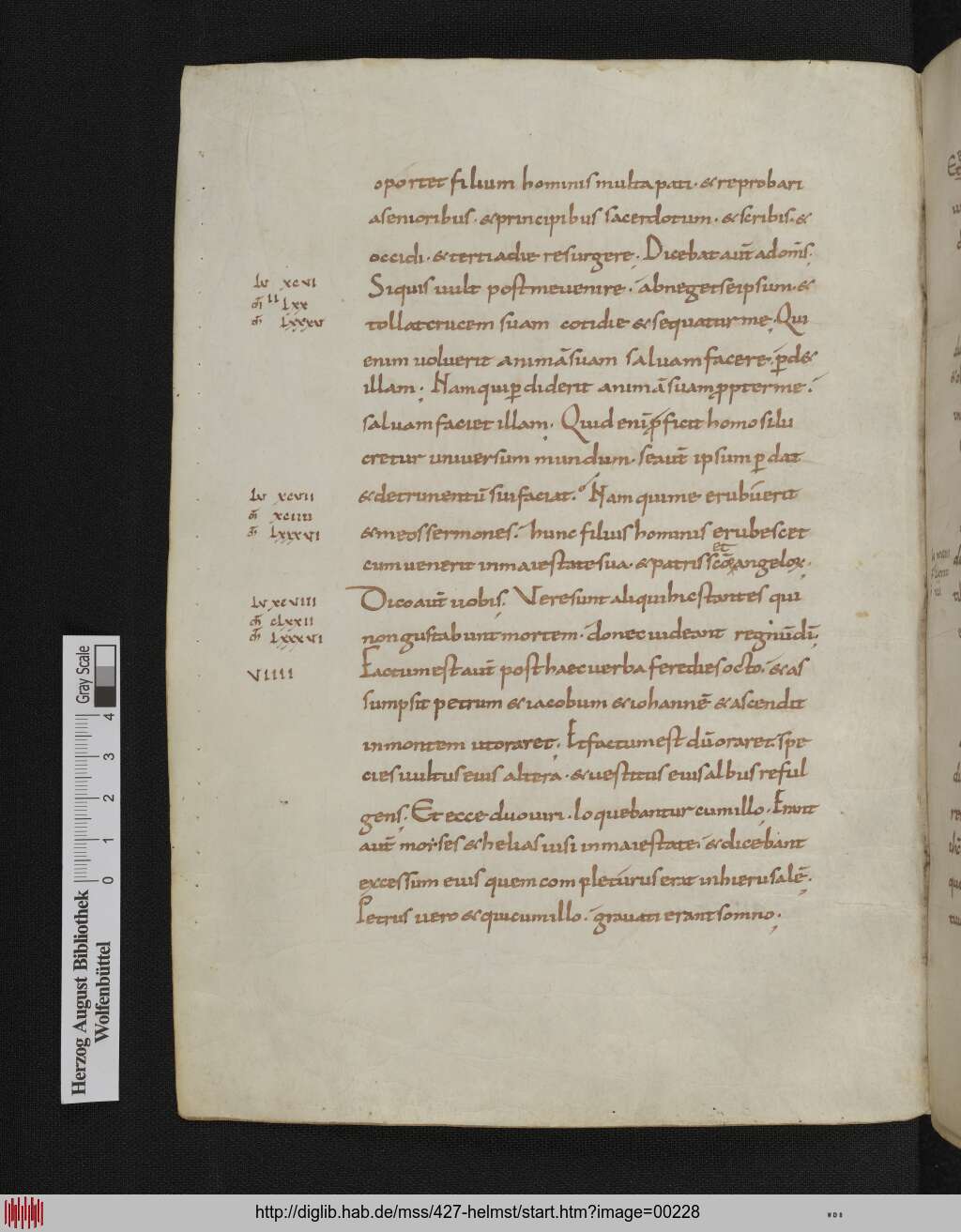 http://diglib.hab.de/mss/427-helmst/00228.jpg