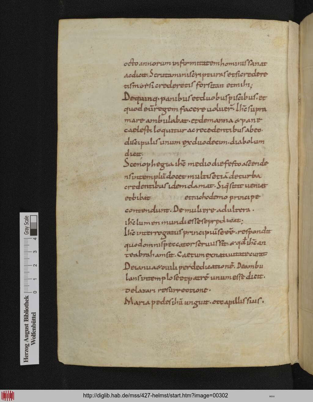 http://diglib.hab.de/mss/427-helmst/00302.jpg