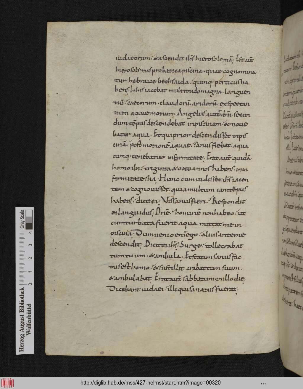 http://diglib.hab.de/mss/427-helmst/00320.jpg