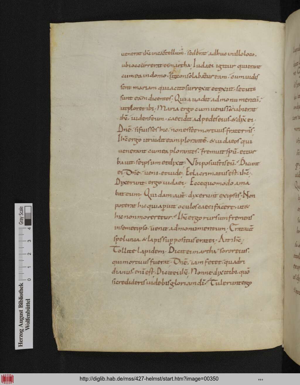 http://diglib.hab.de/mss/427-helmst/00350.jpg