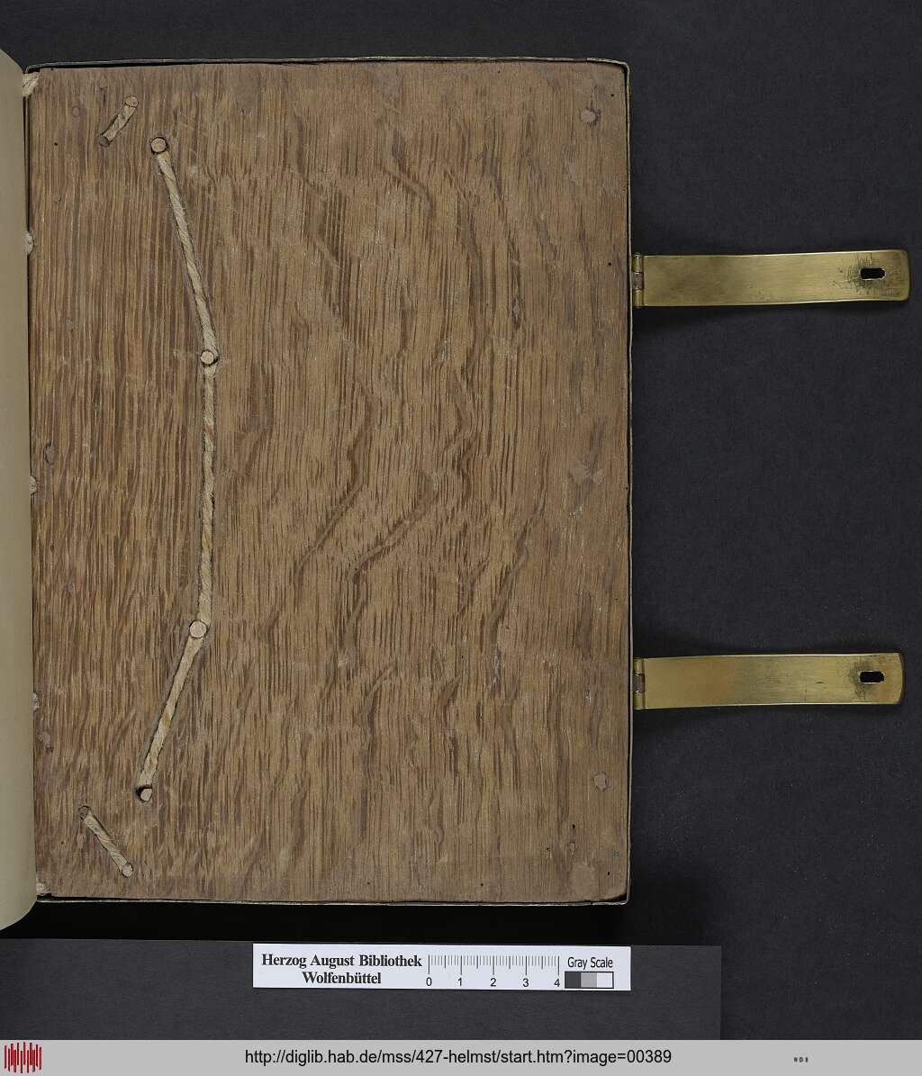 http://diglib.hab.de/mss/427-helmst/00389.jpg